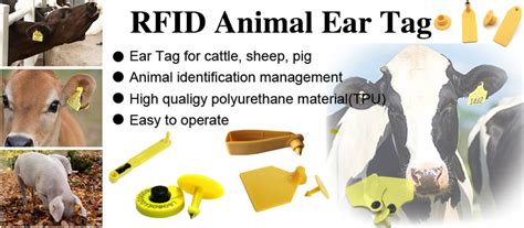 rfid tags defined|rfid tags for animals.